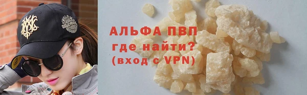 СК Белокуриха
