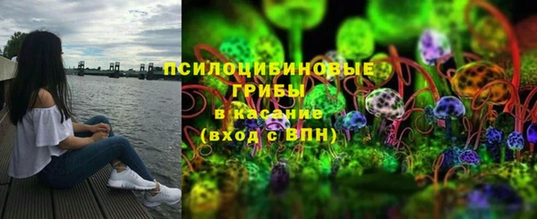 СК Белокуриха