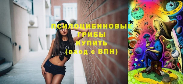 СК Белокуриха