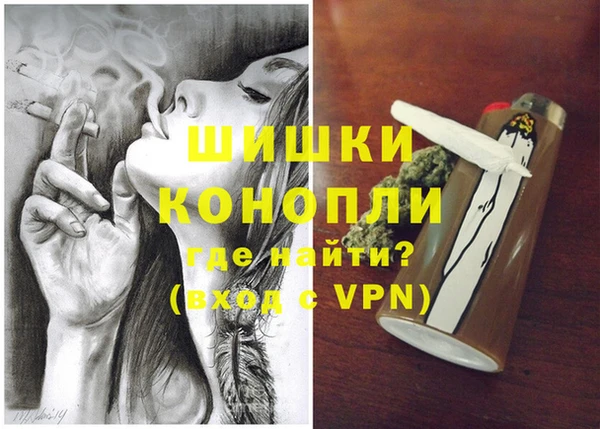 СК Белокуриха